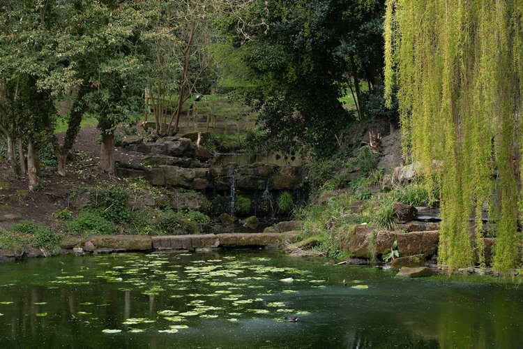便攜式氨氮測定儀 便攜式氨氮測定儀