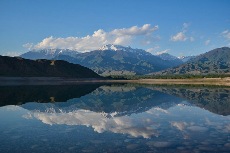 便攜式精密濁度儀 便攜式精密濁度儀