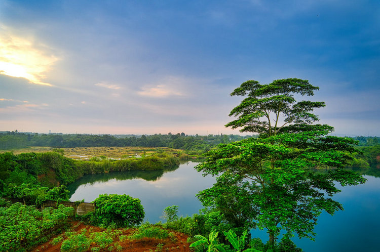 臺(tái)式COD總磷總氮測(cè)定儀 臺(tái)式COD總磷總氮測(cè)定儀