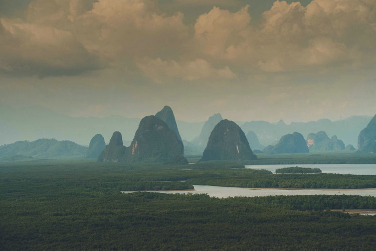 氨氮檢測(cè)儀 氨氮檢測(cè)儀