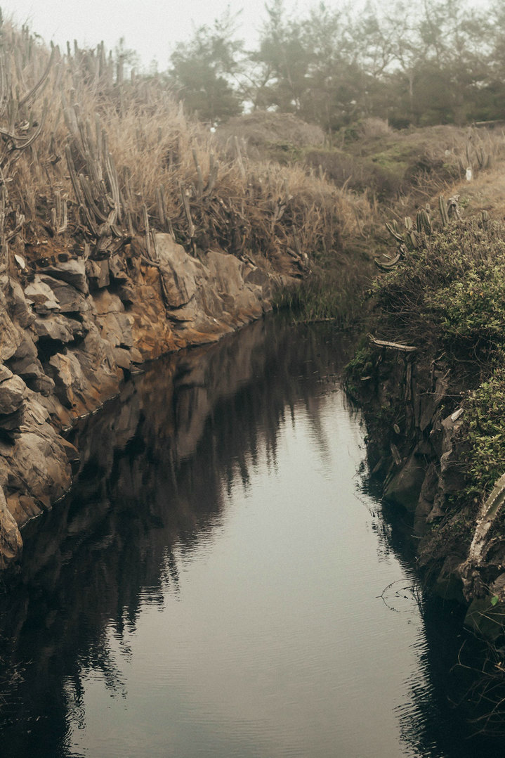氨氮測定儀 氨氮測定儀