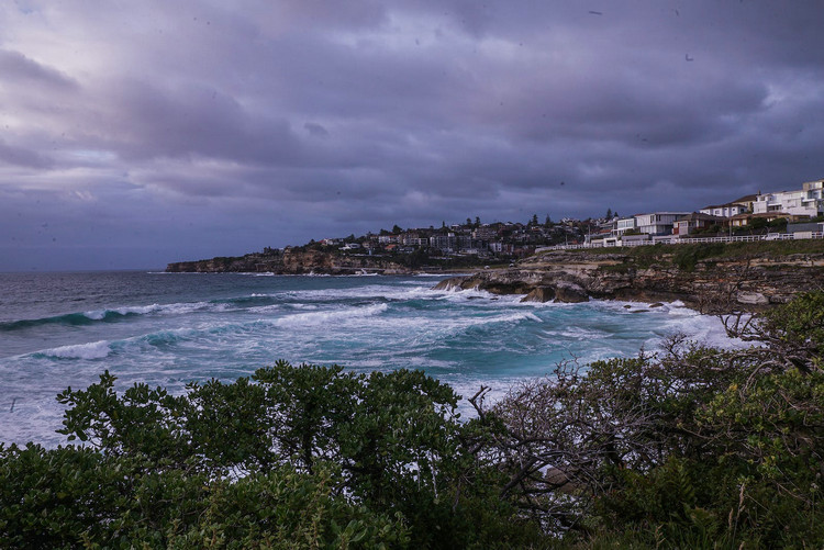 COD檢測(cè)儀 COD檢測(cè)儀