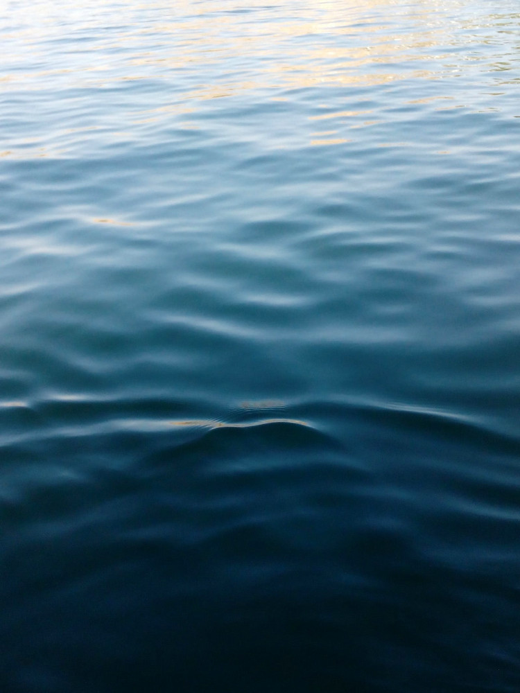 COD自動(dòng)分析儀 COD自動(dòng)分析儀