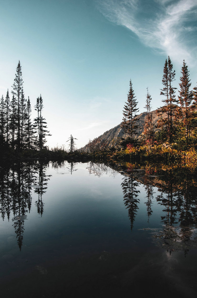 cod氨氮總磷總氮測(cè)定儀 cod氨氮總磷總氮測(cè)定儀