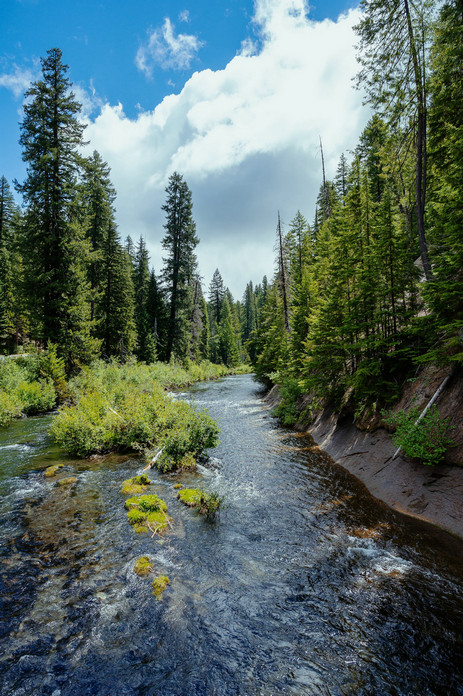 COD測定儀 COD測定儀