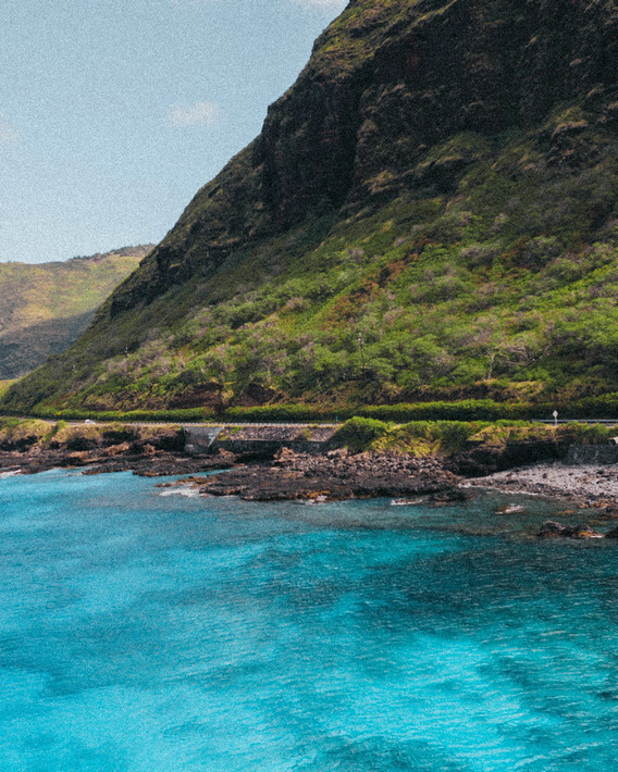 COD檢測(cè)儀 COD檢測(cè)儀