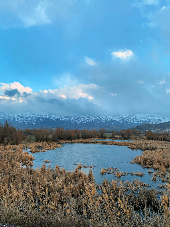 純凈水檢測(cè) 純凈水檢測(cè)