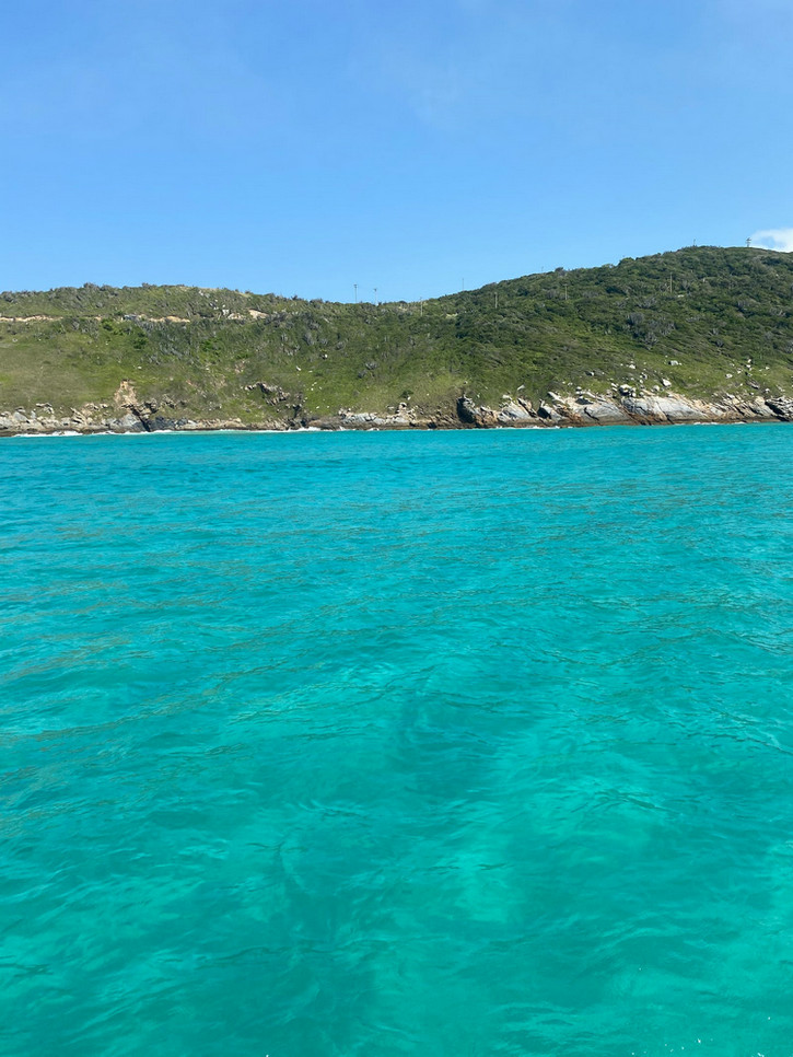 COD消解器 COD消解器