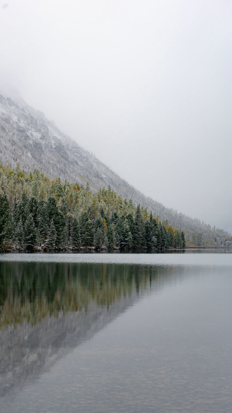 COD測定儀 COD測定儀