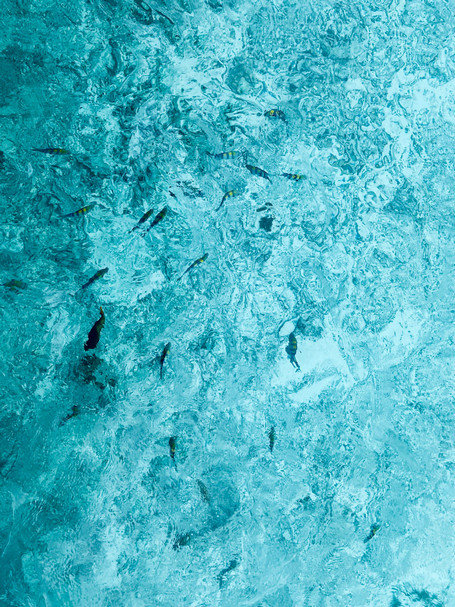 COD檢測(cè)儀 COD檢測(cè)儀