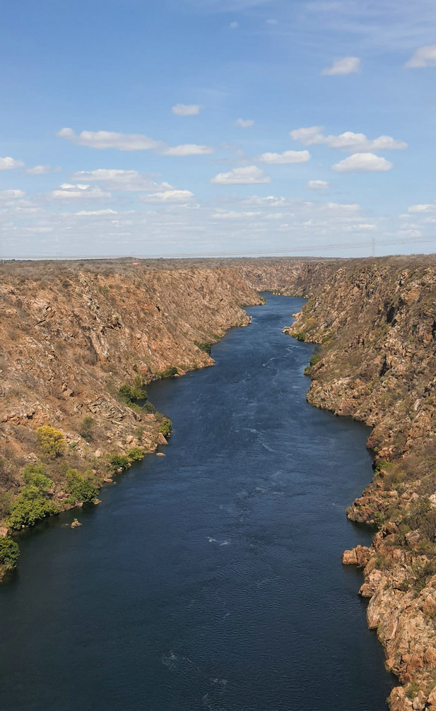 COD消解器 COD消解器