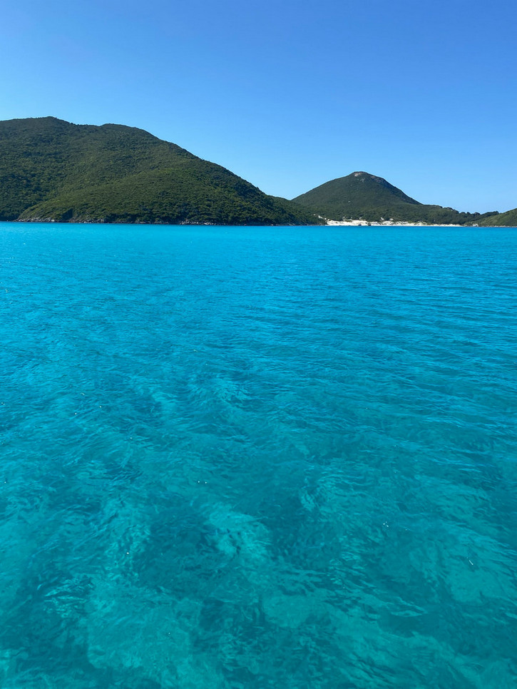 COD消解儀 COD消解儀