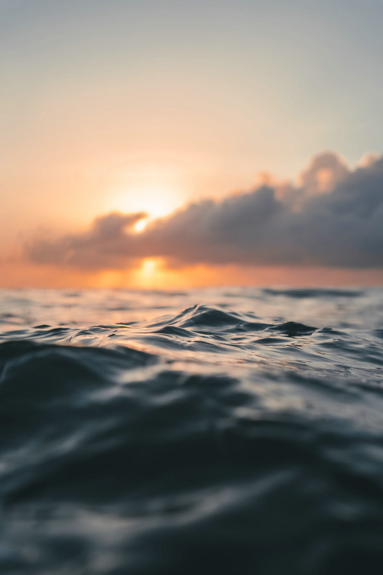 COD消解器 COD消解器