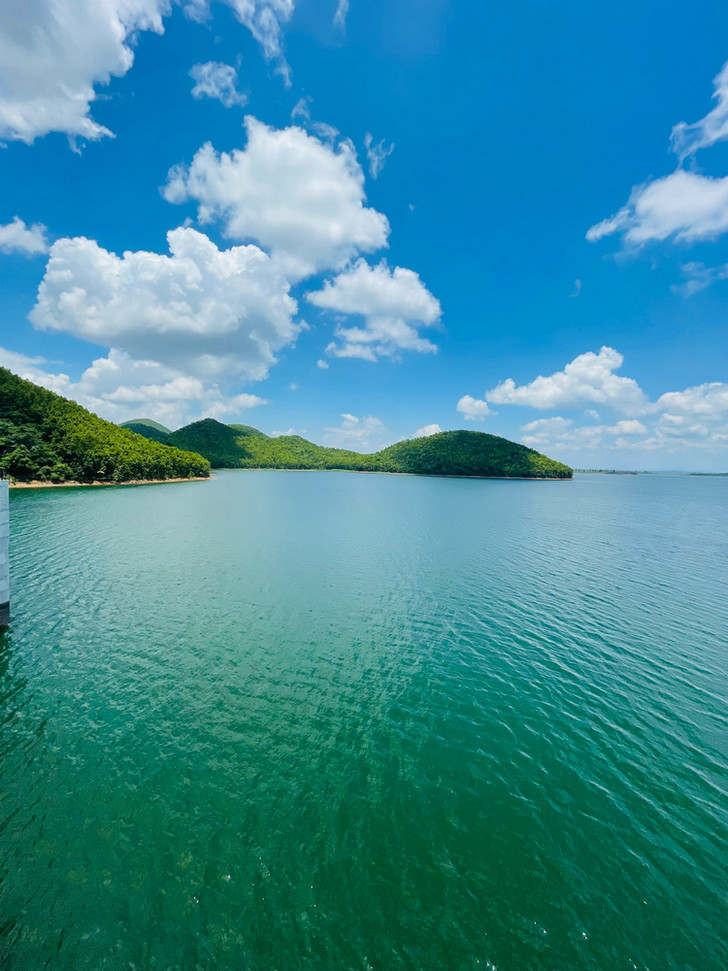 COD消解器 COD消解器