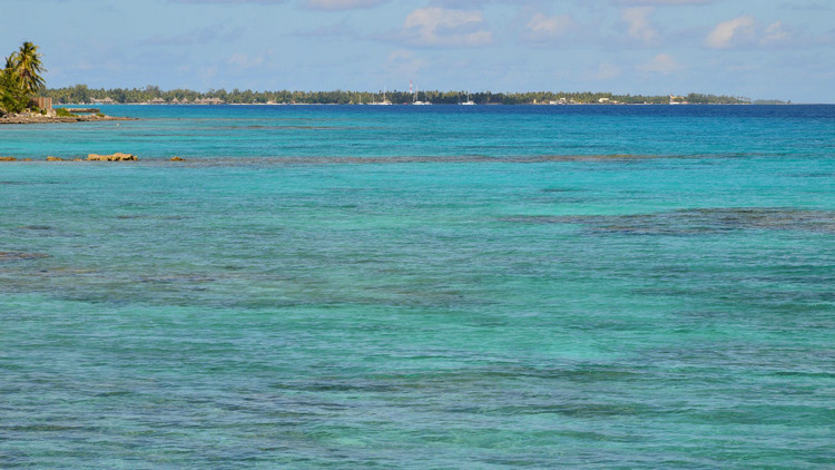 氨氮測定儀 氨氮測定儀