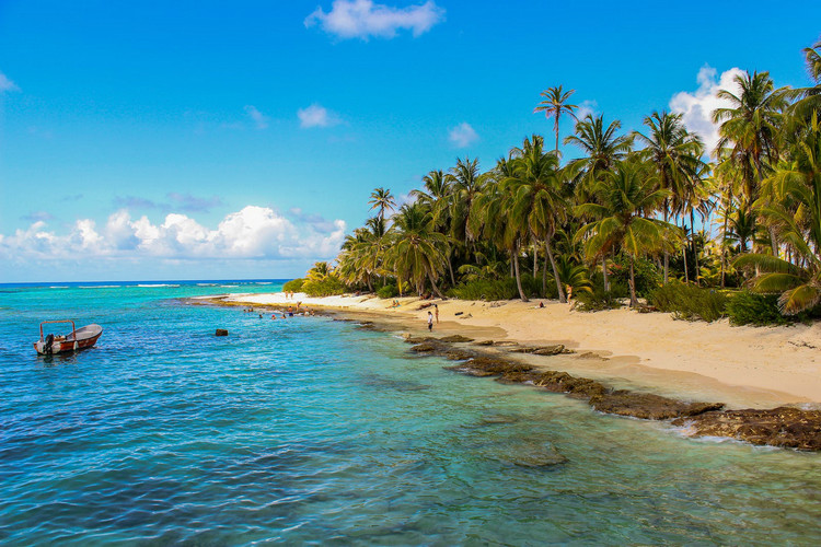 COD消解儀 COD消解儀