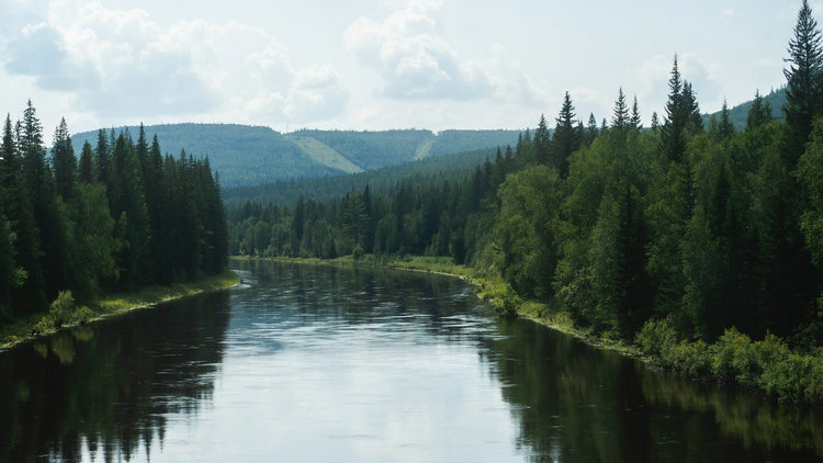 水質(zhì)監(jiān)測儀 水質(zhì)監(jiān)測儀