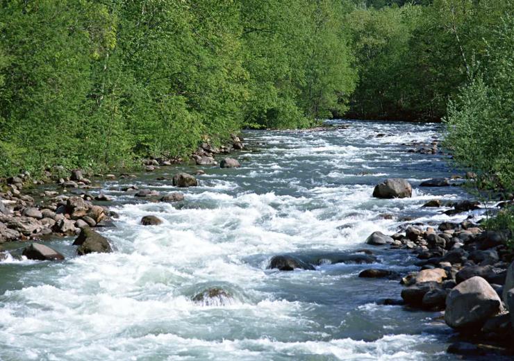 1668428707764939.jpg 水.jpg