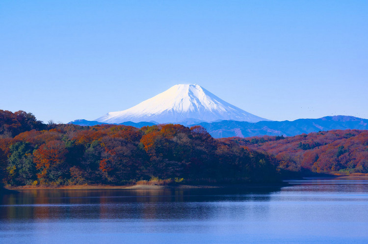 在線濁度儀 在線濁度儀