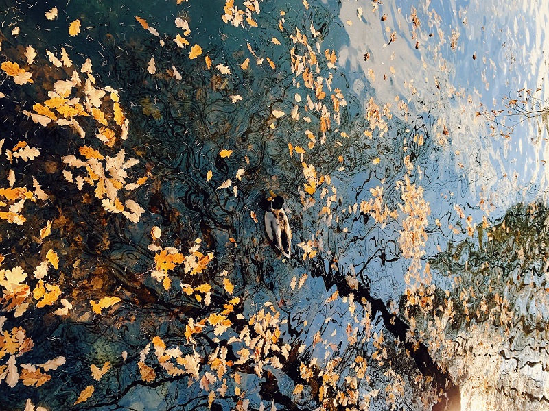 1668847936679021.jpg 28.jpg