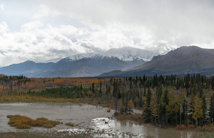 余氯檢測儀 余氯檢測儀