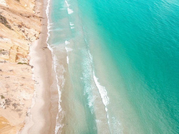 散射式濁度計(jì) 散射式濁度計(jì)