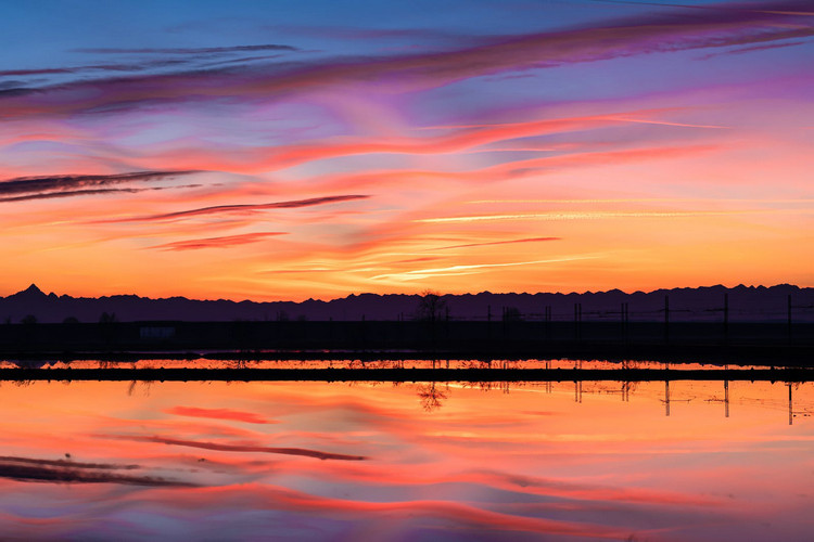濁度分析儀 濁度分析儀