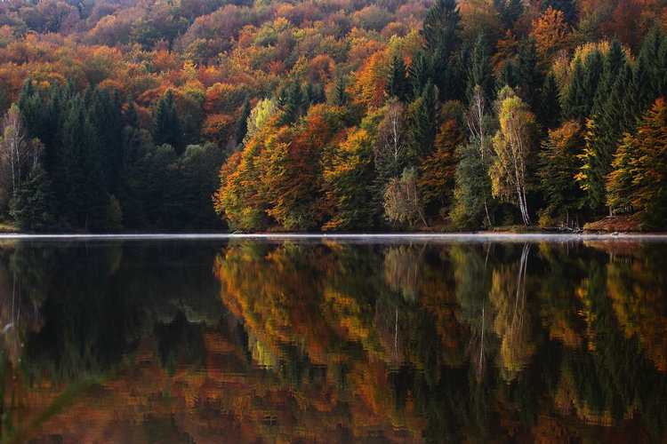 余氯檢測儀 余氯檢測儀