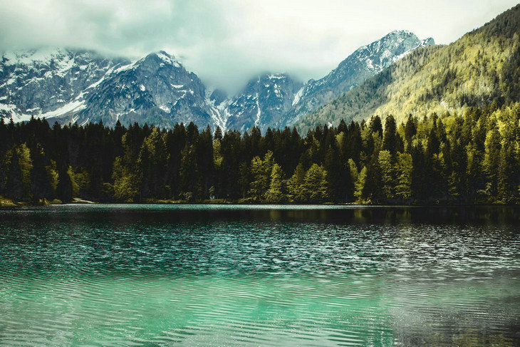 酒類濁度測(cè)定儀