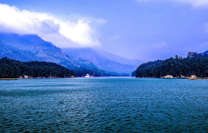 COD檢測(cè) COD檢測(cè)