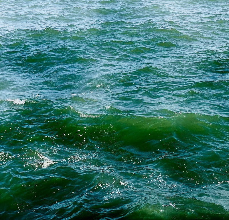 1676020951359826.jpg 69.jpg