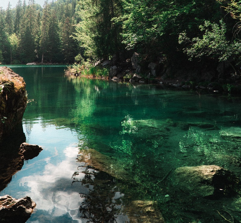 1677050703853966.jpg 62.jpg