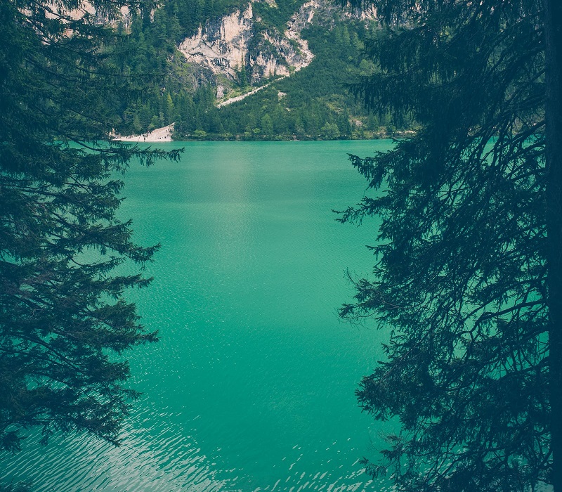 1677575470743855.jpg 79.jpg