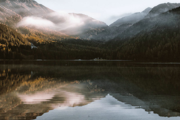 氨氮檢測儀 氨氮檢測儀