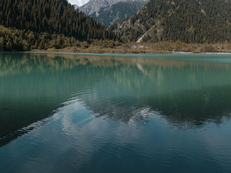 1680080127845624.jpg 137.jpg