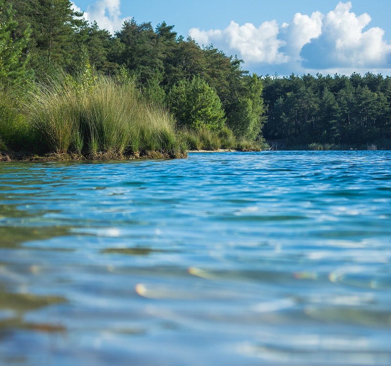 1681293224298517.jpg 67.jpg