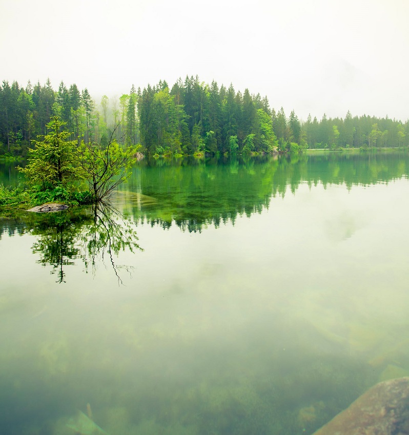 1681825904288202.jpg 34.jpg