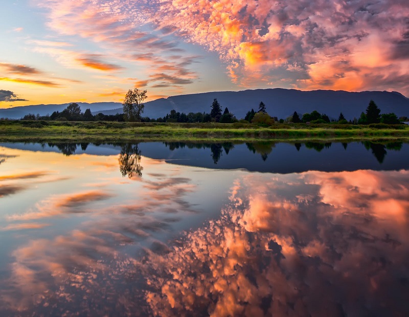 1682068428370524.jpg 158.jpg