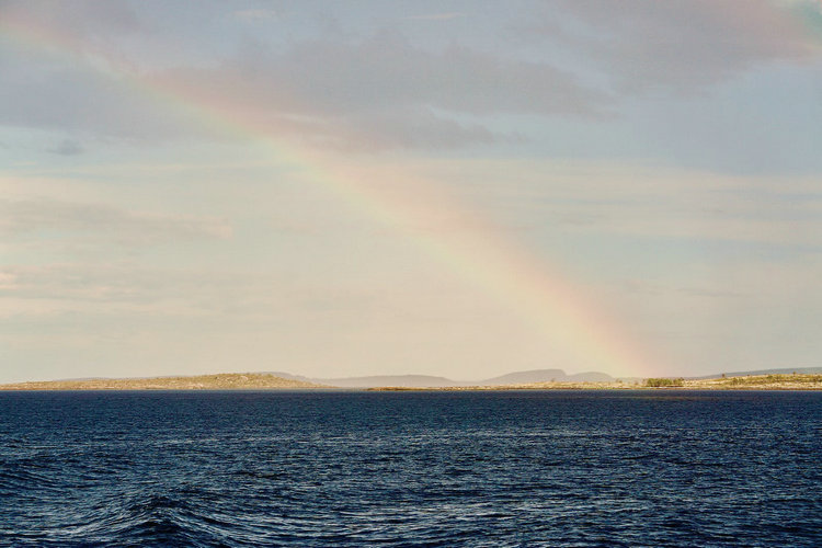 濁度計(jì) 濁度計(jì)