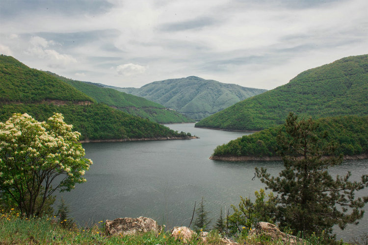 光電濁度儀 光電濁度儀