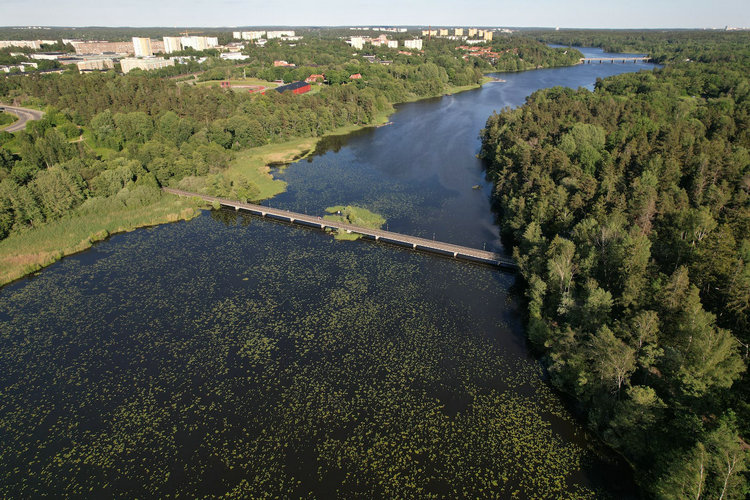 濁度分析儀 濁度分析儀