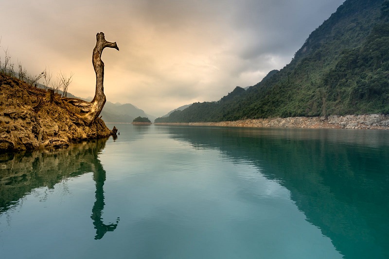 1684489482797558.jpg 174.jpg