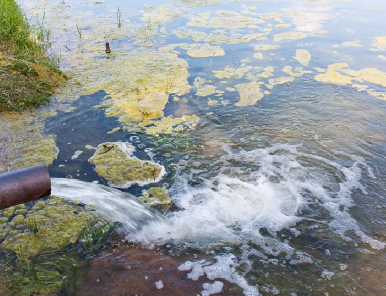 1686546545263842.png 202202231614496618.png