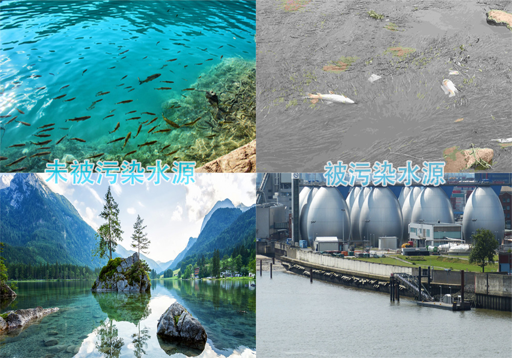 1686703507287388.jpg 1-1ZQ510422S40.jpg