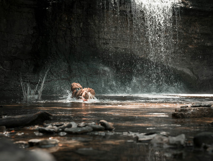 1687136361163495.jpeg 河流21.jpeg