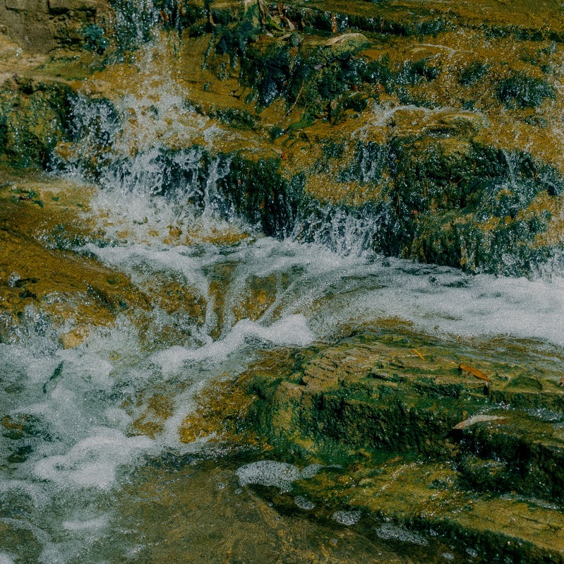 1687954785366548.jpg 47.jpg