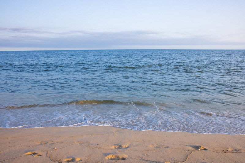 1687954796681323.jpg 48.jpg