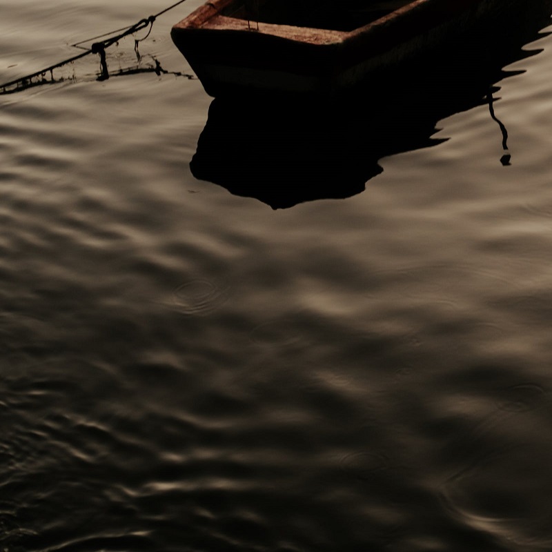 1687954811268624.jpg 49.jpg