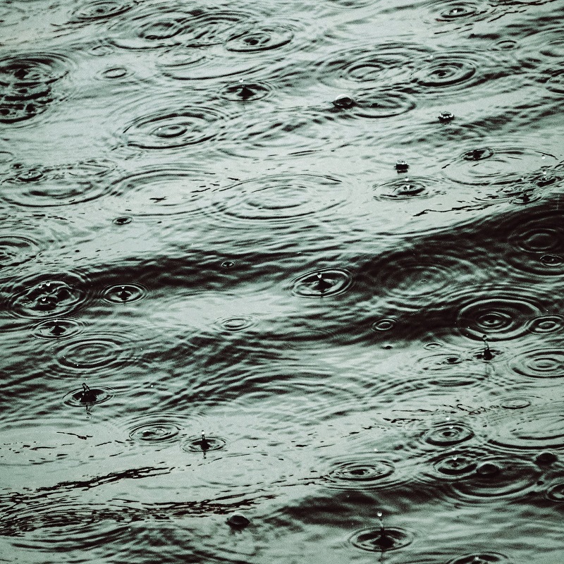 1688124685384082.jpg 50.jpg