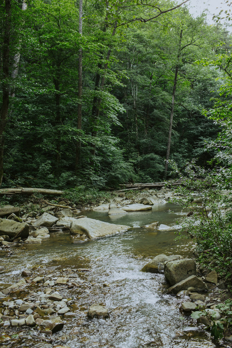 1688620167754384.jpeg 河流12.jpeg